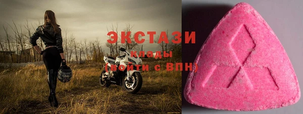 ECSTASY Алзамай