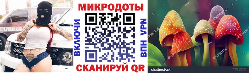 Псилоцибиновые грибы MAGIC MUSHROOMS  ссылка на мегу вход  Харовск 
